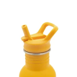 Borraccia in acciaio inox da 500 ml - Leone Chompy