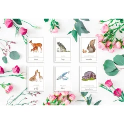 Carte della nomenclatura - MAMME E CUCCIOLI