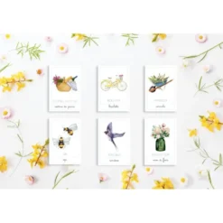 Carte della nomenclatura - PRIMAVERA