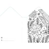 Colouring Books. Animali domestici