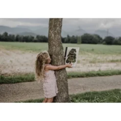 Cosa vedi quando guardi un albero?
