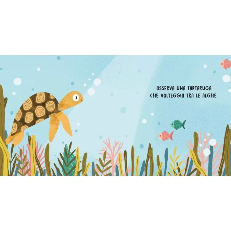 Dolci storie sonore. Il mare