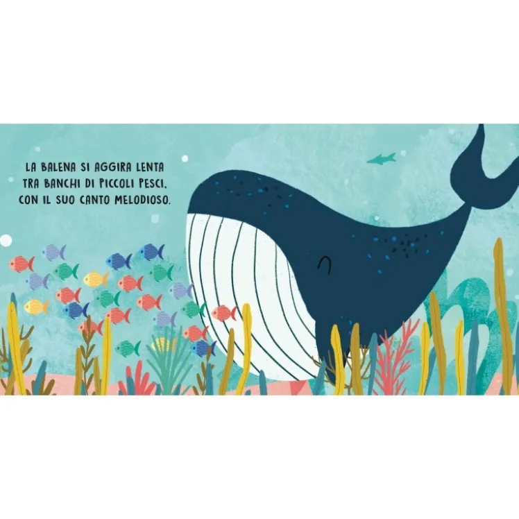 Dolci storie sonore. Il mare