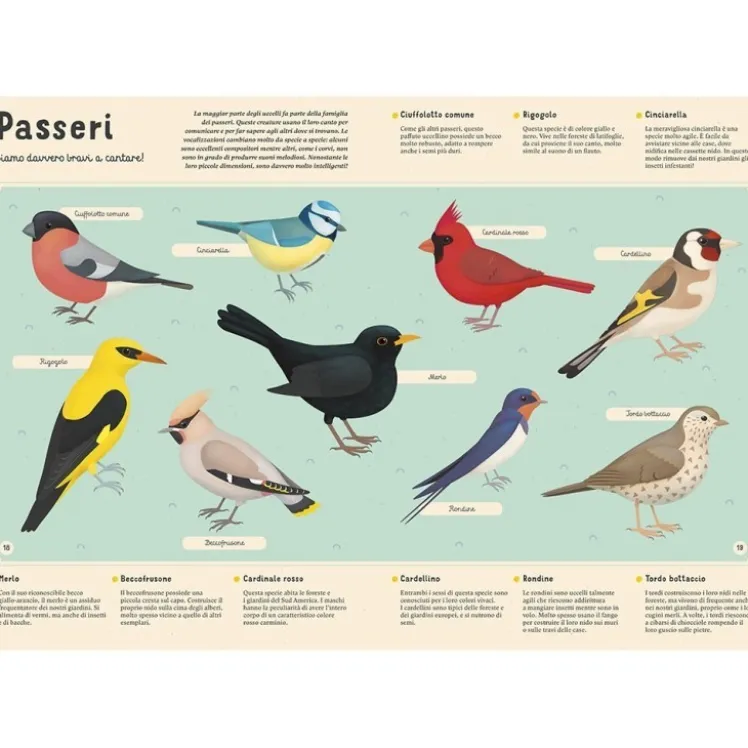 Enciclopedia degli animali per piccoli lettori