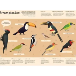 Enciclopedia degli uccelli per piccoli lettori