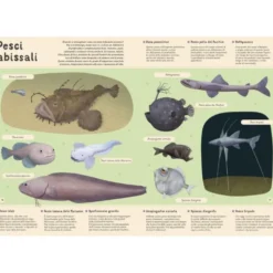 Enciclopedia del mare per piccoli lettori