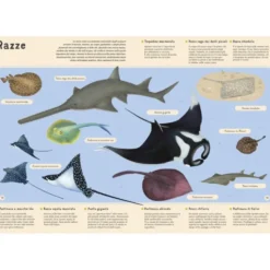 Enciclopedia del mare per piccoli lettori