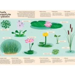Enciclopedia di piante, funghi e licheni per piccoli lettori