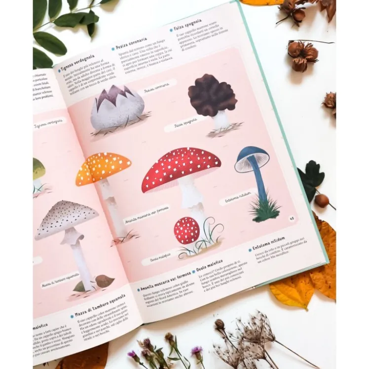 Enciclopedia di piante, funghi e licheni per piccoli lettori