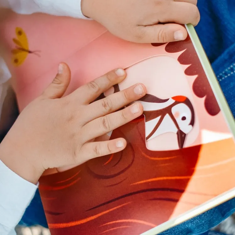 Glisse et découvre. Bonjour