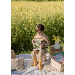 Le raccontacarte del giardiniere dei sogni
