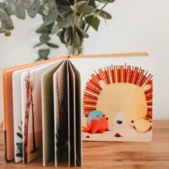 Libri cartonati. Chompy e il coraggio