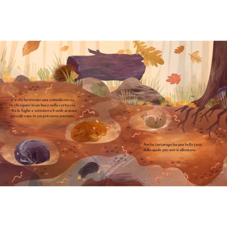 Libri illustrati pocket. Autunno