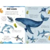 Magico puzzle ad acqua. Il mare