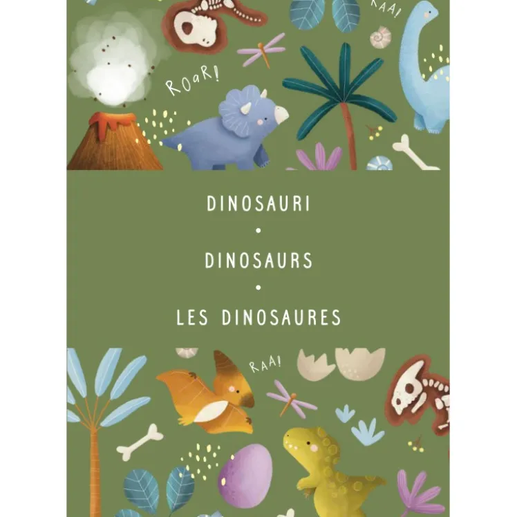 Magnetic box set. Dinosauri