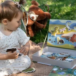 Magnetic box set. Dinosauri