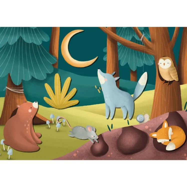 Magnetic box set. Il bosco