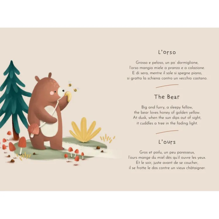 Magnetic box set. Il bosco