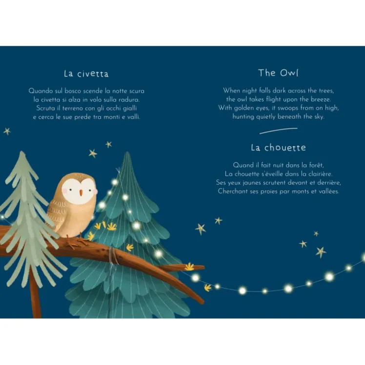 Magnetic box set. Il bosco