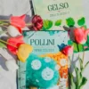 Pollini. Il popolo dell'aria
