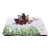 Pop-up della natura. Piccole creature