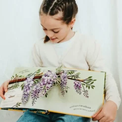 Pop-up della natura. Piccole creature