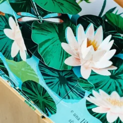 Pop-up della natura. Piccole creature
