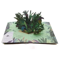 Pop-up della natura. Piccole creature