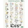 Poster Alfabeto della gentilezza