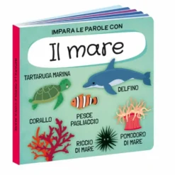 Q-box. Il mare