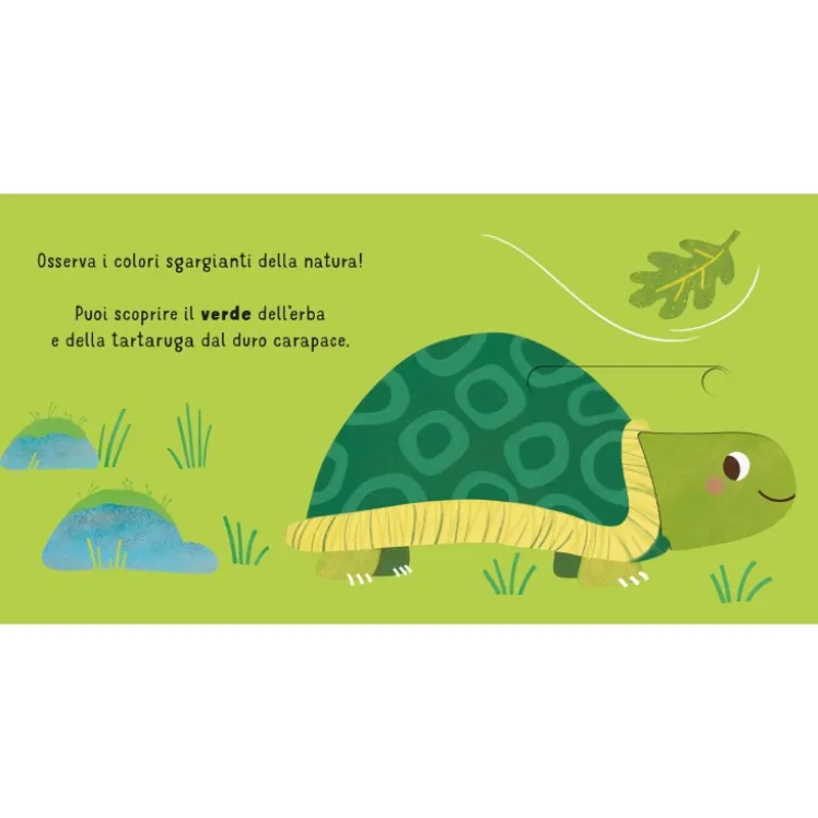Scorri e scopri. I colori