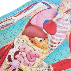 Viaggia, conosci, esplora. Il corpo umano