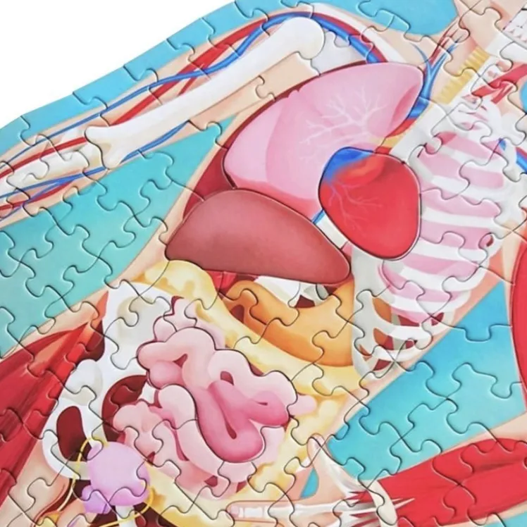 Viaggia, conosci, esplora. Il corpo umano