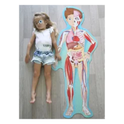 Viaggia, conosci, esplora. Il corpo umano
