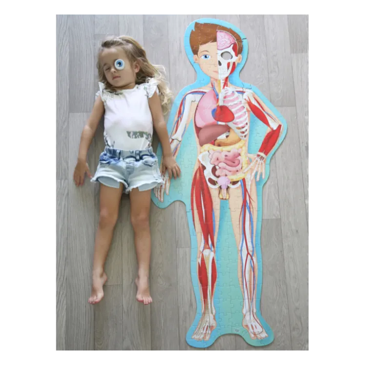 Viaggia, conosci, esplora. Il corpo umano